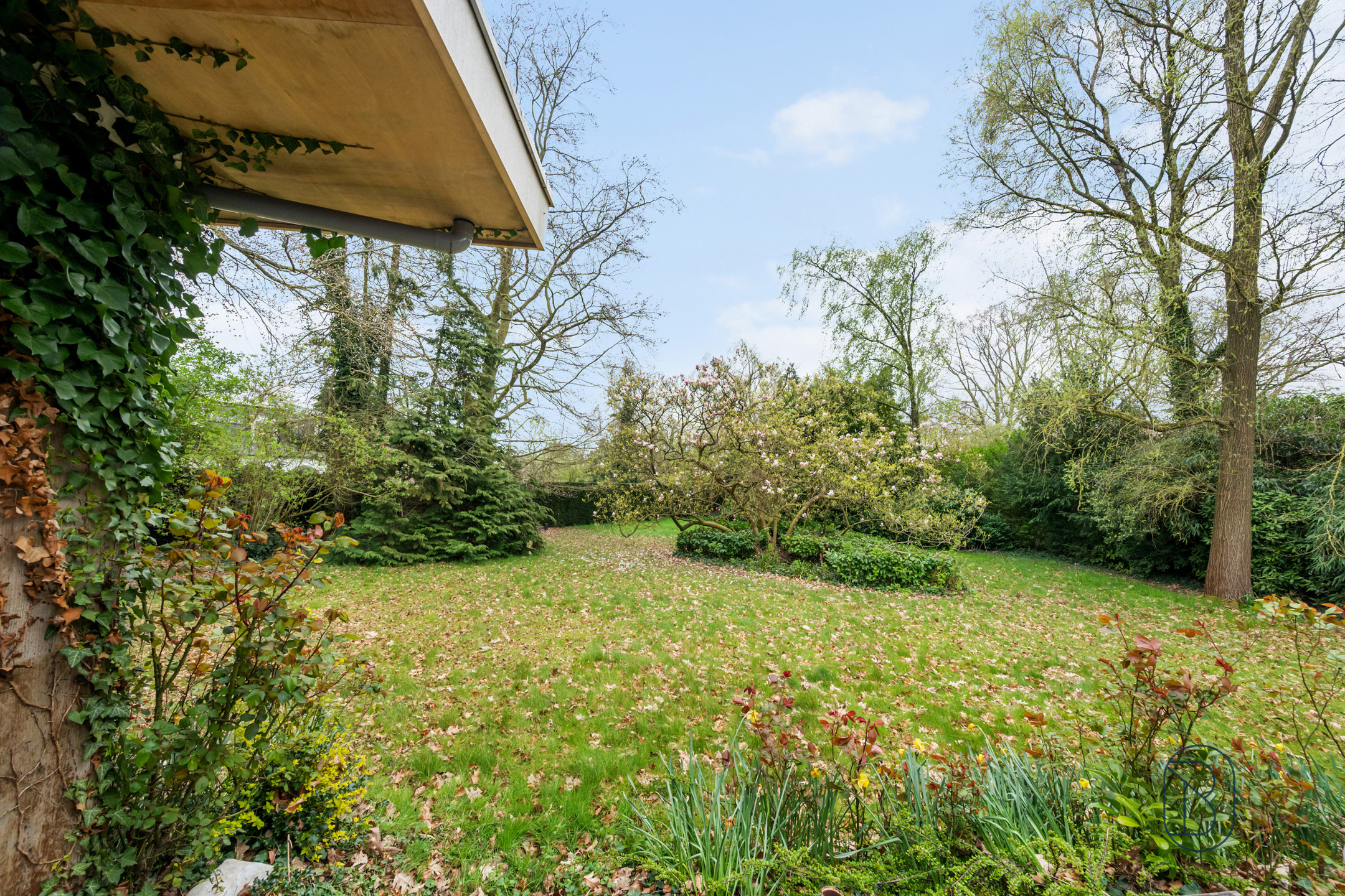 Topgelegen in de Rodenburg: te renoveren/af te breken villa - foto 5