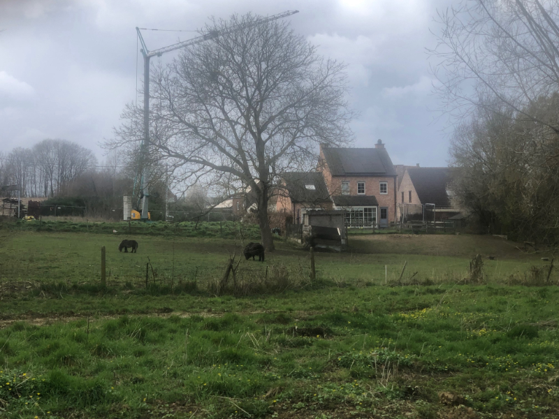 Projet à vendre à Leefdaal - photo 5