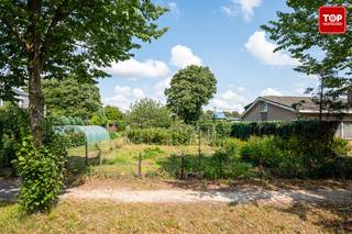 Perceel grond van 549m² in een rustige woonwijk met heel wat groen. Het centrum van Wondelgem is om de hoek: winkels en openbaar vervoer zijn in de nabijheid. Met de auto ben je snel op weg door de vlotte verbinding met de R4. Met de fiets ben je op een kleine 20 min in het centrum van Gent.
(verwijzingen naar bouwgrond zijn steeds indicatief. Voor het bebouwen van een grond dient u uiteraard te beschikken over een gunstig stedenbouwkundig advies.)