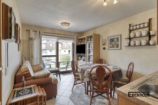 Gemeubeld appartement met terras gelegen op de eerste verdieping in een residentieel domein genaamd 'Blutsyde' met gemeenschappelijk verwarmd zwembad, op 10 minuten wandelafstand van duinen, zee en strand!<br />Indeling: inkomhal, lichtrijke leefruimte met open ingerichte keuken, terras, 1 slaapkamer, berging, badkamer met douche, toilet en lavabomeubel.<br />Autostaanplaats inbegrepen.