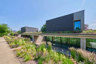 <p><strong>Laatste tuinloft te koop!<br />Exclusief wonen bij Amoer. Kom op beleving in dit unieke project!</strong><br /><br />Het woonconcept AMOER situeert zich vlak naast het centrum van Hasselt. In het binnengebied tussen de Alverbergstraat en de Oude Kuringerbaan (Heilig Hartwijk) schuilen <strong>zes exclusieve tuinlofts, zeven appartementen en een ondergrondse parkeergarage</strong> in de schaduw van een oude moerbeiboom. <br /><br />Amoer herbergt zes exclusieve tuinlofts met twee of drie slaapkamers. Twee woningen krijgen een extra verdieping, de andere vier zijn volledig gelijkvloers. Deze vormen zo een thuis waar je levenslang kan wonen. De inwoners van Amoer krijgen een belevingstuin midden in de stad. Alle woningen zijn BEN-woningen met een e-peil van nul, waardoor je 5 jaar geen KI moet betalen.<br /><br /><span><strong>Laatste tuinloft A.005</strong></span><br /><strong>Gelijkvloerse woning met extra verdiep:</strong><br />- moderne architectuur<br />- top afwerking en hoge afwerkingsbudgetten voorzien*<br />- ruimtelijk gevoel door open karakter<br />- bruto woonoppervlakte 200m²<br />- terras: 39m²<br />- 3 slaapkamers waarvan 1 gelijkvloers<br />- 1 badkamer gelijkvloers en 1 douchecel op verdieping<br />- hoogwaardig afgewerkte keuken<br />- aparte berging<br />- zichtbare betonstructuur<br />- plafonds van 2m90<br />- gebruik van natuurlijke materialen<br />- vloerverwarming + vloerkoeling standaard aanwezig<br />- warmtepomp<br />- ventilatiesysteem type D<br />- zonnepanelen voor iedere woning<br />- ruime ondergrondse parkeerplaats<br />- het comfort van een woning maar het onderhoud van een appartement<br /><br />Vermelde prijs is exclusief ondergrondse parkeerplaats, registratie, btw en notariskosten.<br /><br /><em>*Getoonde r<span>enders zijn </span><span>ter </span><span>illustratie </span><span>van </span><span>de </span><span>uitvoering </span><span>zoals </span><span>voorzien.</span></em><br /><br />Wij ontzorgen je ook voor <strong>de verkoop</strong> van <strong>je huidige woning</strong>! Voor meer uitleg helpen we je graag verder.</p>