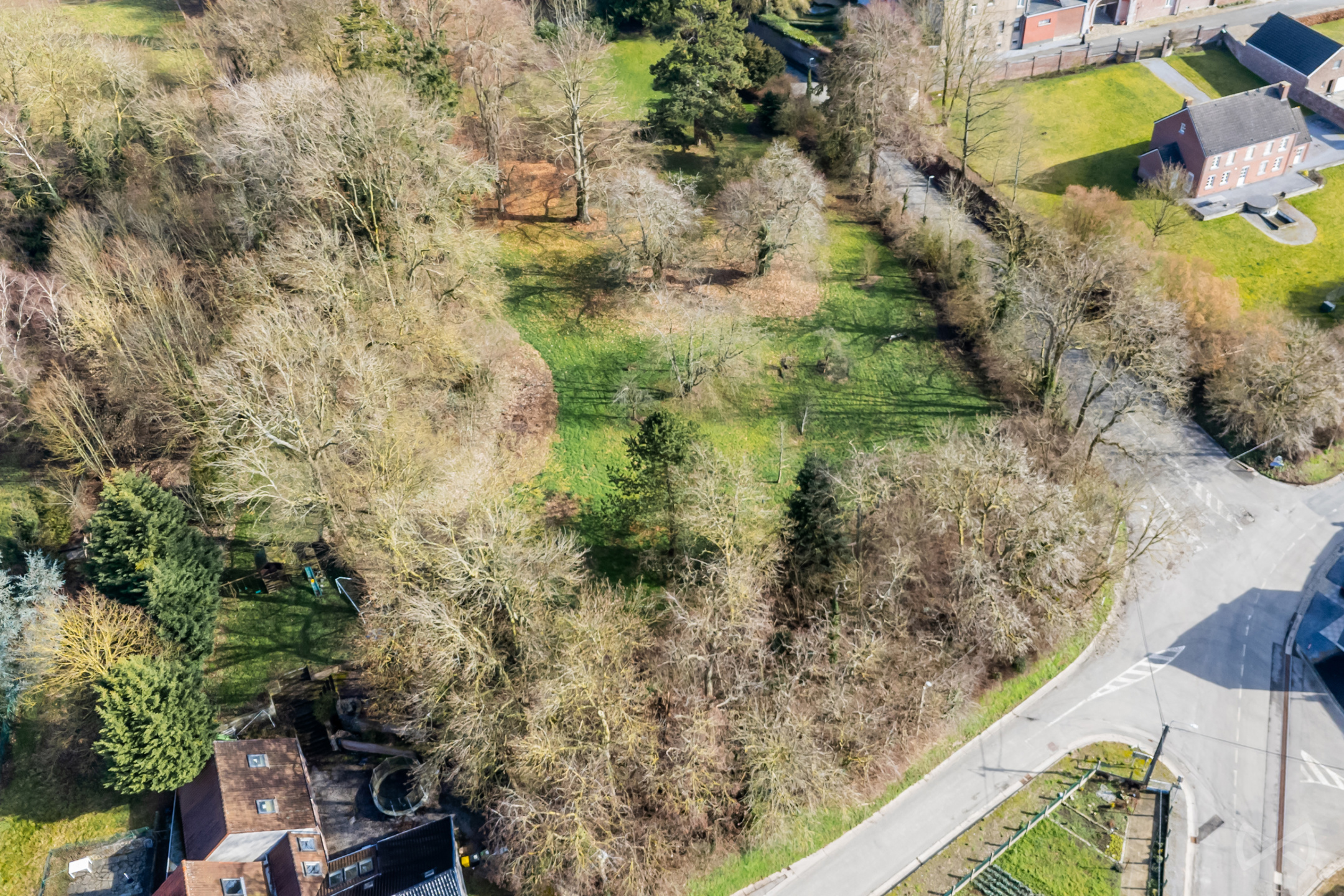 Grond te koop in Avernas-Le-Bauduin - foto 5