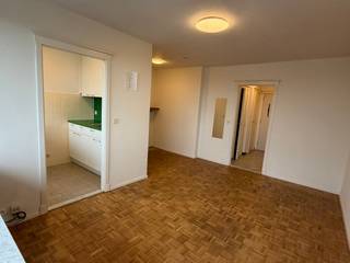 Knusse studio gelegen op de 8e verdieping. Kom binnen in de inkomhal met een ingemaakte vestiaire kast, badkamer met lavabo, douche en toilet, leefruimte met veel lichtinval en toegang tot het ruime terras met zicht op de skyline van Gent. Aparte slaaphoek. Praktische keuken met koelkast, kookplaat, dampkap. Verder hoort er nog een privé kelder bij voor opslag. Rondom het gebouw zijn er voldoende winkelmogelijkheden, alsook vlotte bereikbaarheid met het openbaar vervoer en gelegen nabij invalswegen. Huurprijs: 695 euro/maand + 90 euro/maand (gemeenschappelijke kosten) + 120 euro/maand provisie (water en verwarming met jaarlijkse afrekening). Zelf nog een abonnement voor elektriciteit en internet af te sluiten. Uitermate geschikt voor één persoon. 