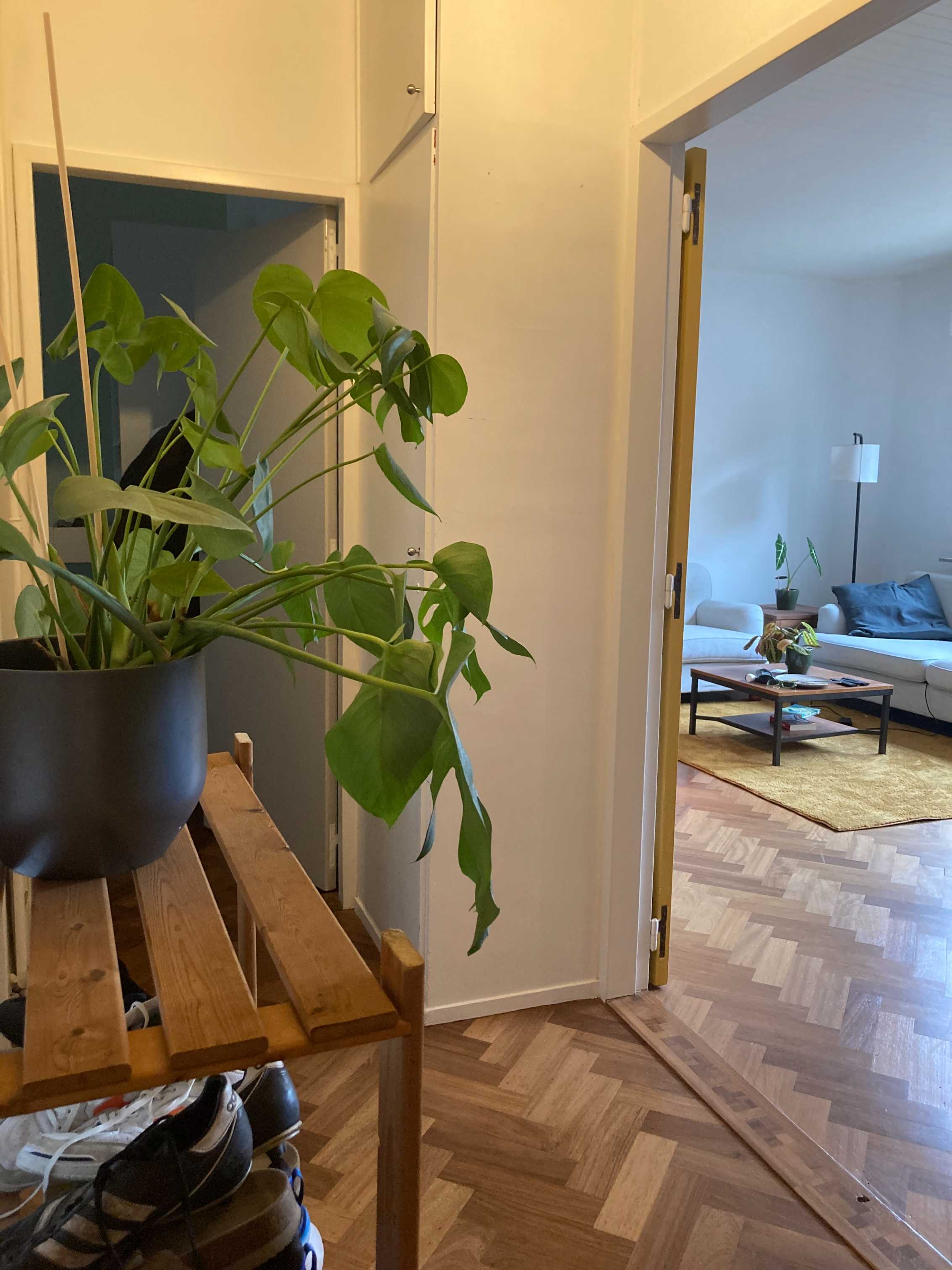 Appartement te koop in Borgerhout met 1 slaapkamer - foto 3