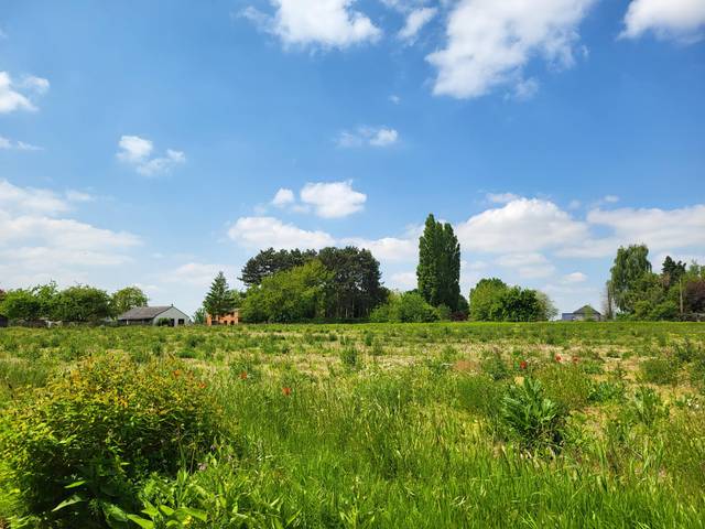 Project te koop in Erwetegem