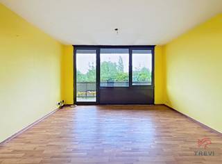 <p><strong>JETTE </strong>- Belgica, à proximité des commerces et des transports en commun, bel appartement 1 chambre de ± 51m² situé au rez-de-chaussée d'un immeuble avec ascenseur. Il se compose comme suit : hall d'entrée, living de ± 19m² avec accès à la terrasse de ± 6m² orientée Sud-Ouest, cuisine semi-équipée (taques, hotte, frigo), chambre de ± 13m², salle de bains et WC séparé. Toutes les superficies sont données à titre indicatif. PEB : D+, 32kg/ (m²/an). Disponibilité immédiate. Provision charges : 150€/ mois (eau chaude, eau froide et communs). <br /><br /><span>Au rez-de-chaussée :</span></p>
<ul>
<li>Hall</li>
<li>Living de ± 19m² avec accès à la terrasse de ± 6m² orientée Sud-Ouest</li>
<li>Cuisine semi-équipée (taques, hotte, frigo)</li>
<li>Chambre de ± 13m²</li>
<li>Salle de bains</li>
<li>WC séparé</li>
</ul>
<p>Provision charges : 150€/ mois - Eau froide, eau chaude et frais communs)<br /><br />PEB : D+, 32kg/ (m²/an)<br /><br />Disponibilité immédiate</p>