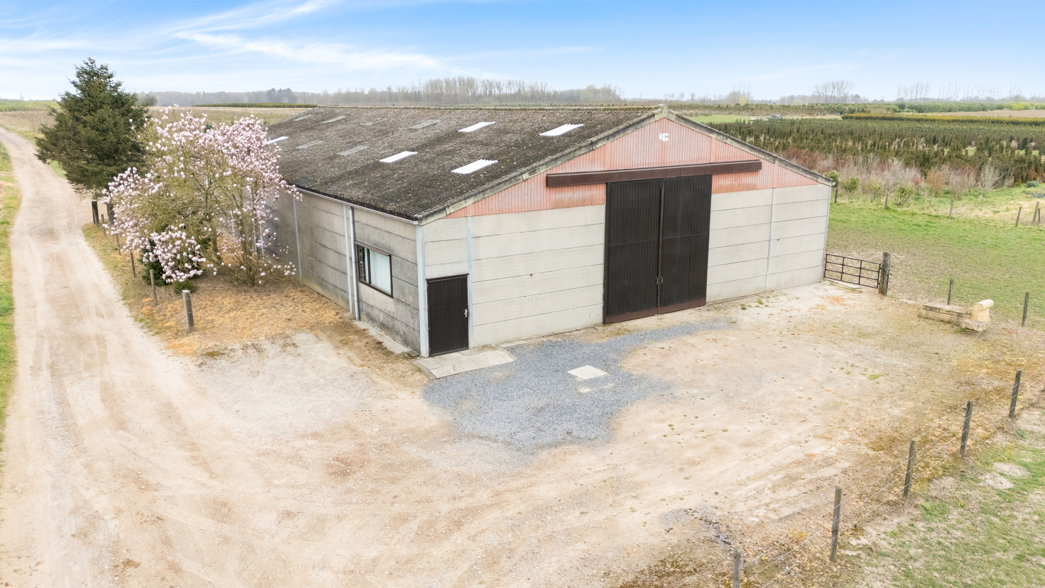 Commercial à vendre à Lede - photo 2