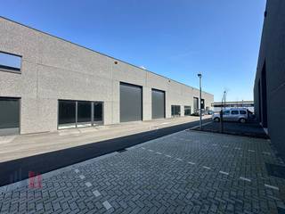 Gloednieuwe <strong>KMO-unit</strong> met een oppervlakte van <strong>228 m² en 3 privatieve parkeerplaatsen</strong> te huur. Uitstekend gelegen langs de commerciële Geallieerdenlaan (N58) met een vlotte verbinding naar de E403 op- en afrit 3 Moeskroen (5 km) en de E17 op- en afrit 1 Moeskroen.<br /><br />De casco magazijnruimte heeft een <strong>vrije hoogte van 6 m</strong> en is opgebouwd uit een betonconstructie met betonpanelen. Verder is de loods uitgerust met een automatische sectionale poort, lichtstraat met rookkoepel en polybetonvloer. Dankzij het <strong>raampartij</strong> kan er een kantoor / showroom ingebouwd worden. De loods maakt deel uit van de nagelnieuwe ontwikkeling "PARC PME DES ALLIES bestaande uit 10 KMO-units van 188 m² tot 521 m² te koop en te huur.Tevens enkele mogelijkheden tot wonen op verdieping.<br /><br />Ruime manoeuvreerruimte on site met aanwezigheid van privatieve parkeerplaatsen per unit. <strong>Onmiddellijk beschikbaar!</strong><br /><br />Contacteer <strong>PANORAMA B2B</strong> voor bijkomende inlichtingen of een vrijblijvend plaatsbezoek <strong>056 222 256</strong>.