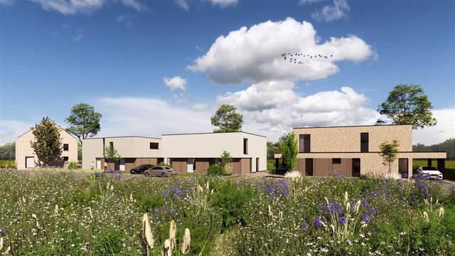 Project for sale in Munsterbilzen