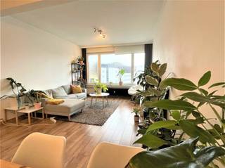 Apartment for rent in Antwerp