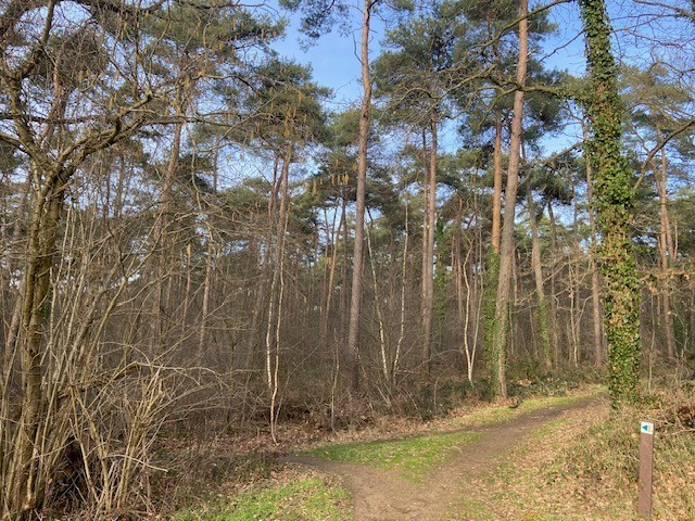 Grond te koop in Lummen - foto 2