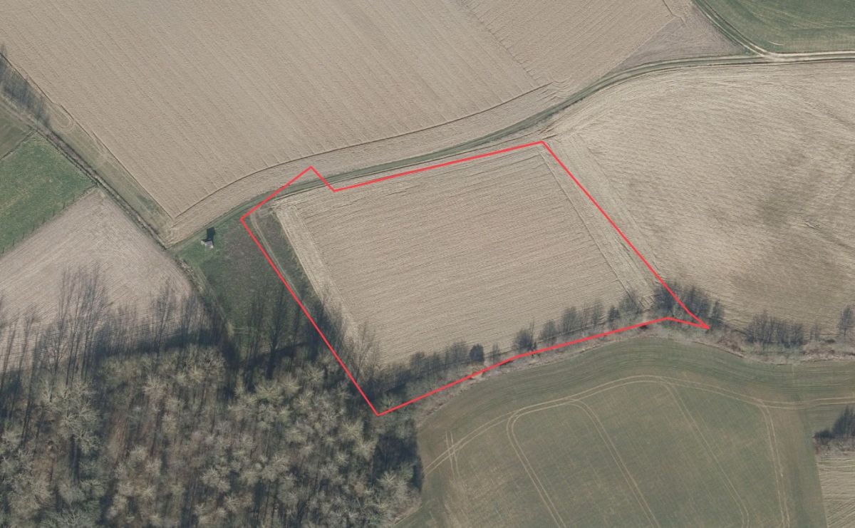 Mooi perceel akkerland te koop te Herne (Sint-Pieters-Kapelle)Oppervlakte : 1 ha 08 are 80 caVrij van pachtBereikbaar via Brikstraat - Steyvekaitse