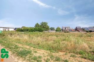 Land for sale in Meerhout