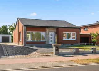 <p><span>Deze halfopen bebouwing met kruipkelder staat op een groot stuk grond van meer dan 8 are. In de Zepstraat geniet u van een zicht op weilanden met paarden, met een bushalte op wandelafstand. Zowel in de voortuin als voor de garage (afstandsbediende poort) en berging, kan u heel wat auto's parkeren. In dit huis kwam een nieuwe condensatieketel, elektrische installatie, pleisterwerk, elektrische rolluiken, schilderwerk, dakbedekking (pannen), pvc-ramen, etc. De eenvoudige recente keuken, is uitgerust met een kookplaat, oven, koelkast en klein vriesvak. De grote tuin met breed terras omvat  een gazon, notenboom, fruitbomen, vijgenboom en druivelaar. De technische berging/wasplaats verrast door de aanwezigheid van enkele sanitairelementen. In de badkamer is plaats voor een dubbel lavabomeubel, spiegel met geïntegreerde verlichting, grote douchecabine met regendouche, designradiator, hangtoilet, ingebouwde spots en moderne tegelafwerking. De 4 kamers zijn ruim bemeten: één is betegeld en de drie andere zijn voorzien van laminaat. Pendelaars appreciëren hier de nabijheid van de E19.</span></p><p><span> </span></p>