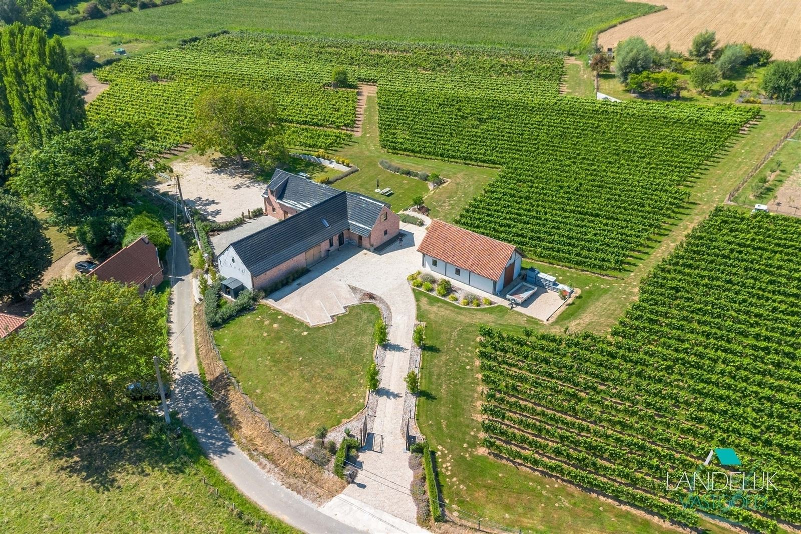 Domaine viticole d’exception avec charmante demeure sur 2 ha au Pays des Collines - photo 2