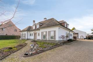 Welcome to Pontweg in Lede – Tucked away at the end of this quiet side street lies an exceptional private estate where space, tranquility, and versatile living come together in perfect harmony.<br /><br />Set on a plot of over 6,000 m², this impressive property features a living area of approximately 591 m², ideal for those seeking a unique combination of comfortable living, equestrian experiences, and multifunctional possibilities.<br /><br />The home features spacious living areas with plenty of natural light and beautiful views of the surrounding greenery. Thanks to its size and layout, this property is perfectly suited for large families, multigenerational living, a self-employed business, or combining living (2 bedrooms situated on the ground floor) and working in complete privacy.<br /><br />For horse lovers, this estate represents a rare opportunity, featuring multiple stables and spacious outdoor facilities. The grounds offer tranquility, freedom, and numerous possibilities for recreational or professional use.<br /><br />In addition, the property includes a separate outbuilding that can be finished to your own specifications as a practice space, guesthouse, office, wellness area, or additional living space.<br /><br />Located in a quiet and green setting, with easy access to Ghent, Aalst, and Brussels, you can enjoy the best of both worlds here: rural serenity combined with excellent connectivity.<br /><br />A property with character, spaciousness, and exceptional potential for those seeking more than a traditional home.<br /><br />Would you like more information or to visit the house?<br />Contact Mitch Goossens on 0470 36 11 85 or at mitch.goossens@albert.immo.<br /><br />At Albert's, you will feel right at home!