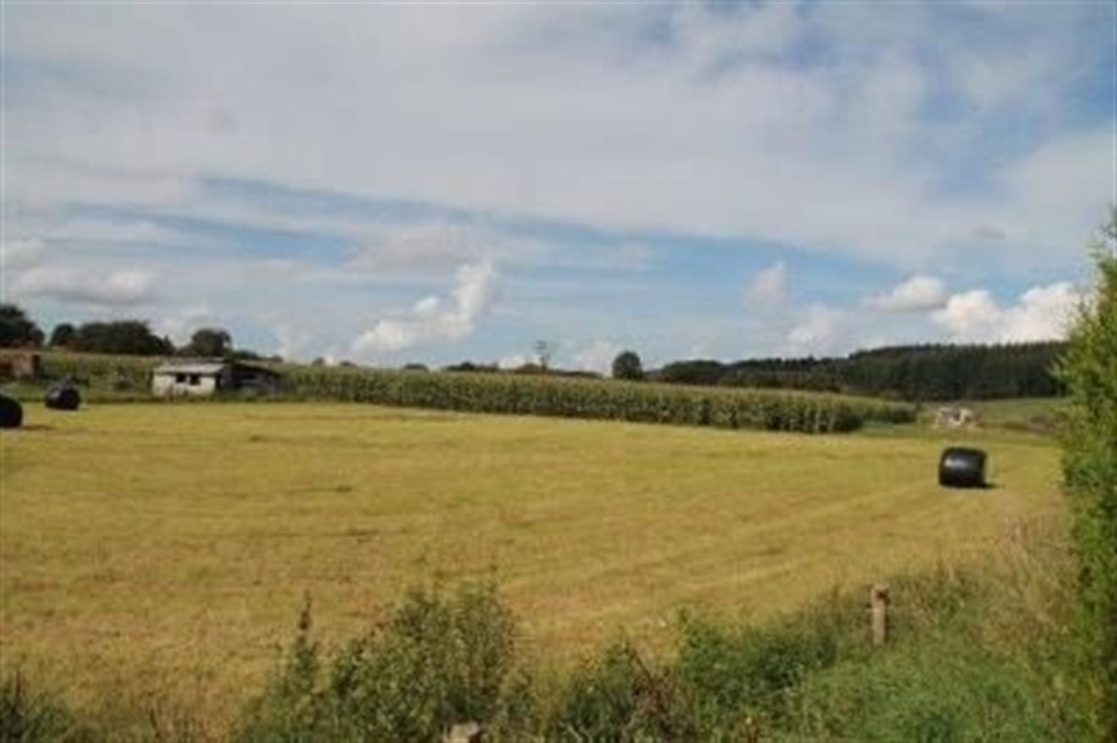 Terrain à vendre à Gedinne - photo 4