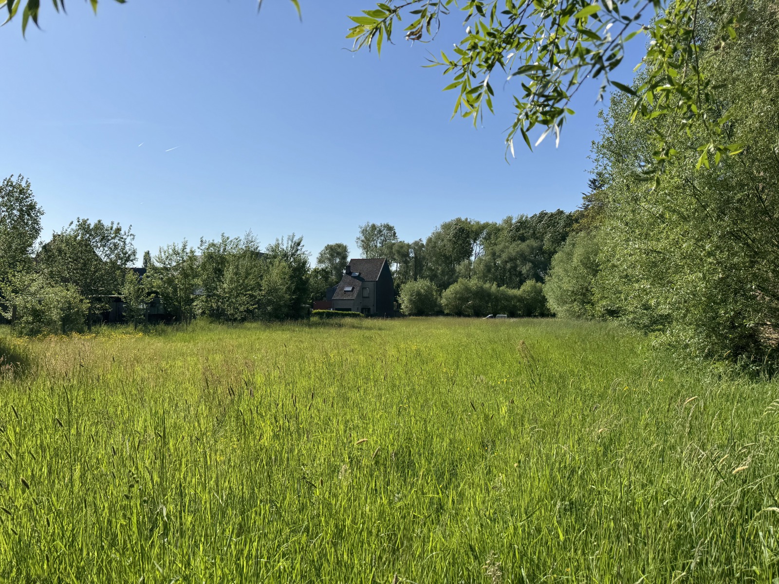 Grond te koop in Aalst - foto 1
