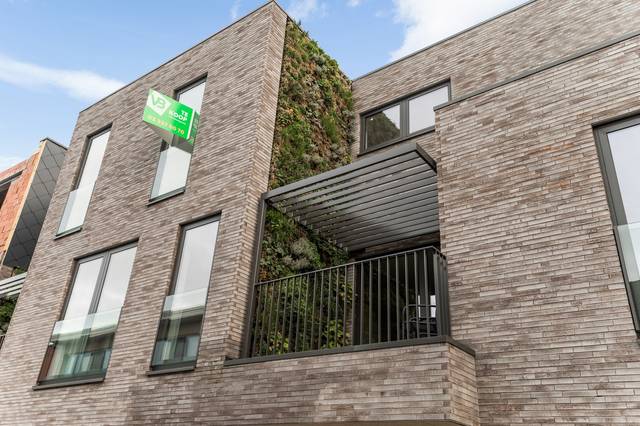 Projet à vendre à Ranst