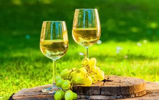 ---RESERVED---In the heart of the scenic Pays des Collines (Flobecq – Geraardsbergen – Lessines region) lies this unique 2.2 ha estate, featuring a...