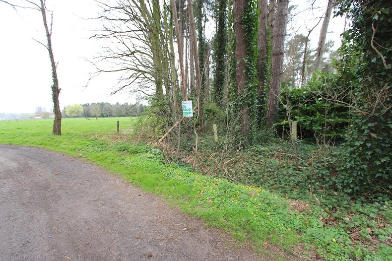 Terrain à vendre à Jabbeke - photo 4