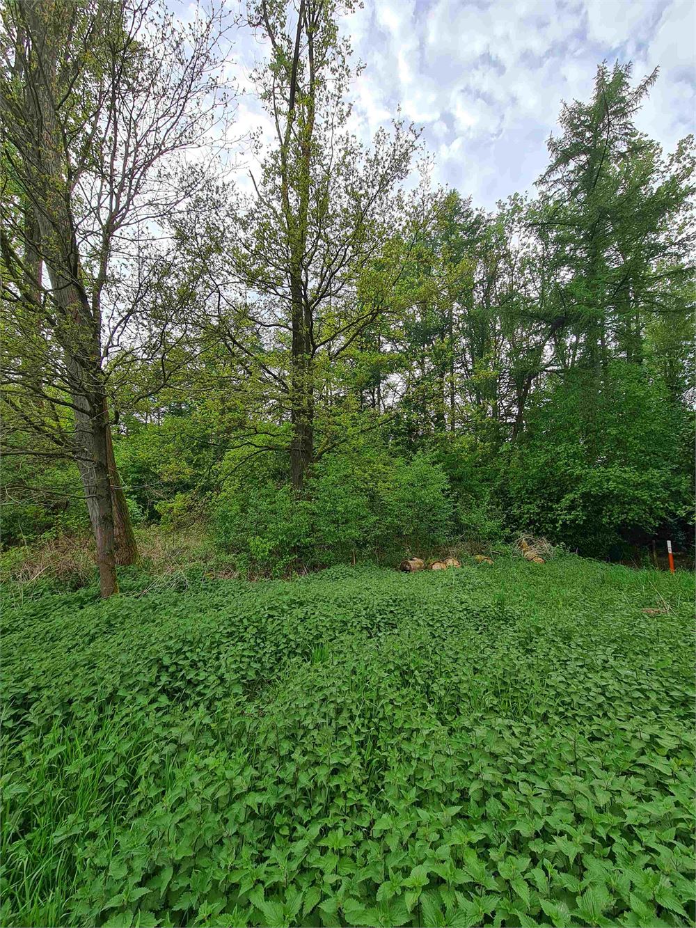 Terrain à vendre à Eksel - photo 5