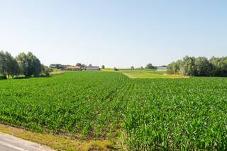 Charmante te renoveren woning met prachtig zicht te koop in LendeledeDe woning heeft een bewoonbare oppervlakte van 152 m² en is gelegen op een...