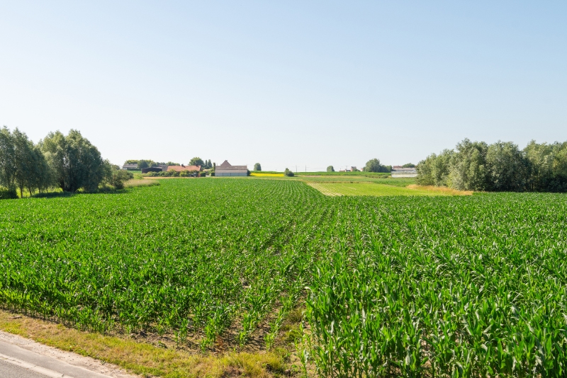 Charmante te renoveren woning met prachtig zicht - photo 3