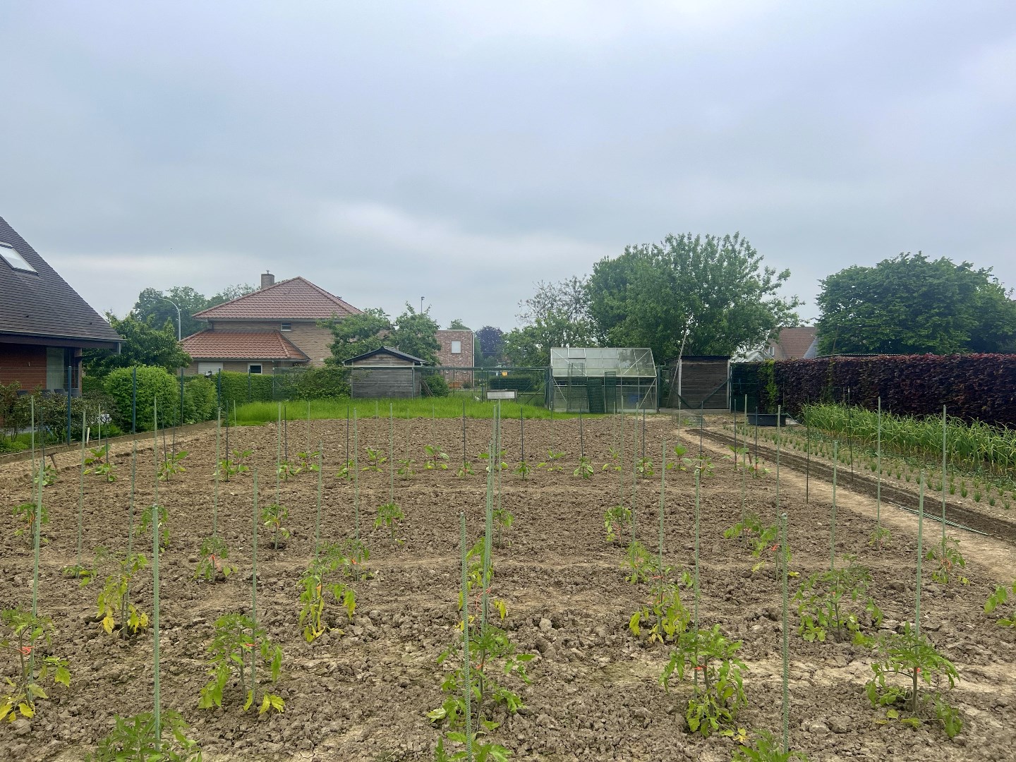 Ruim perceel bouwgrond te koop in Outrijve van 756m² en geschikt voor open bebouwing - foto 3