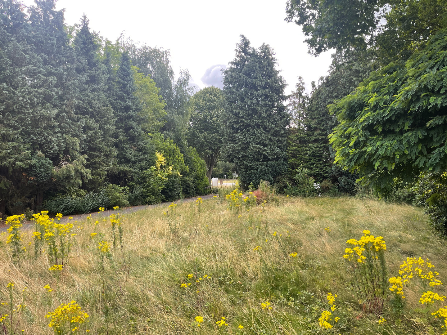 Te renoveren woning op goede ligging in Drongen. - foto 4