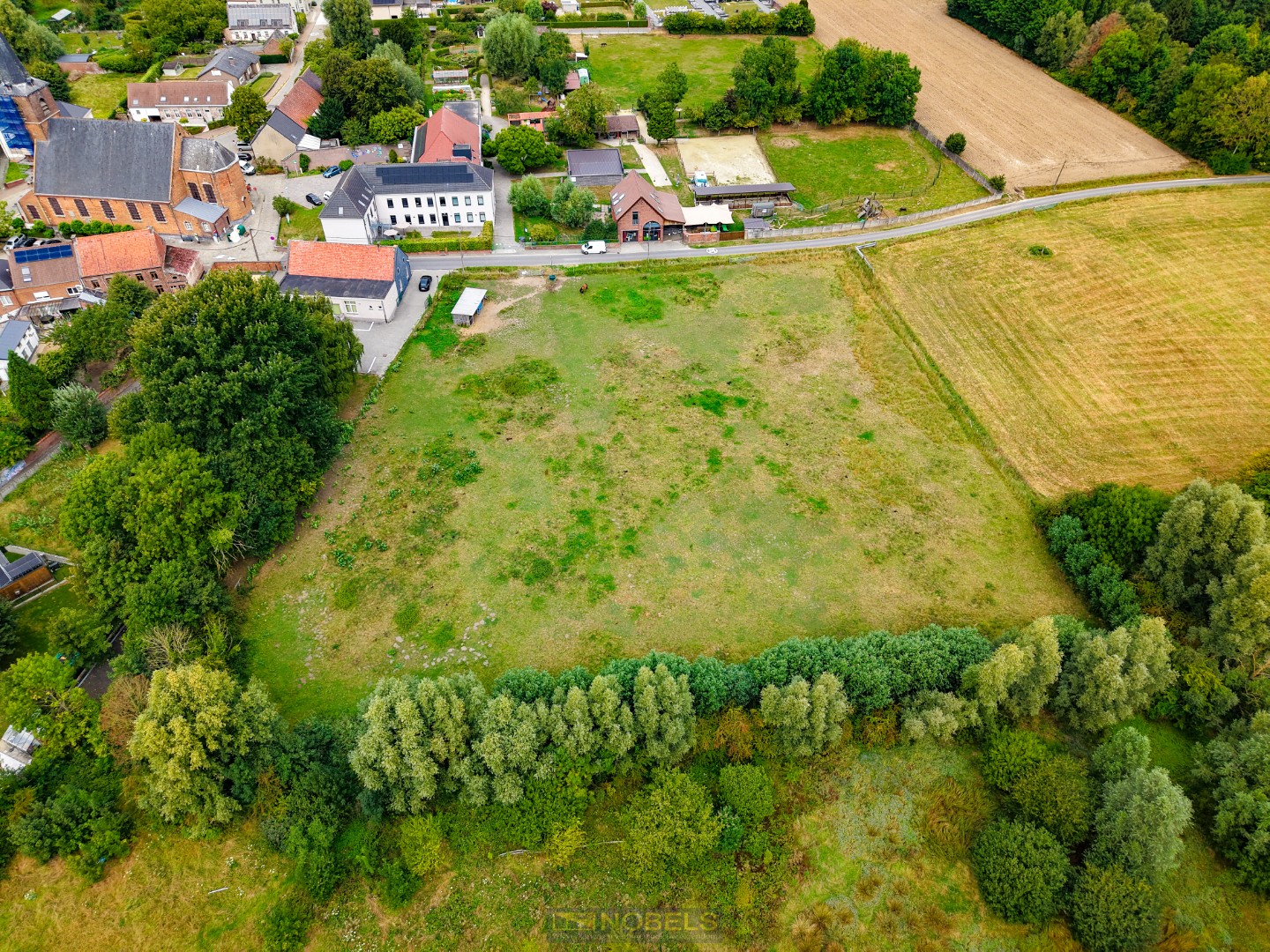 Te koop, luxe villaperceel (9.714m²) met weide op rustige ligging te Everbeek (Brakel) - foto 3