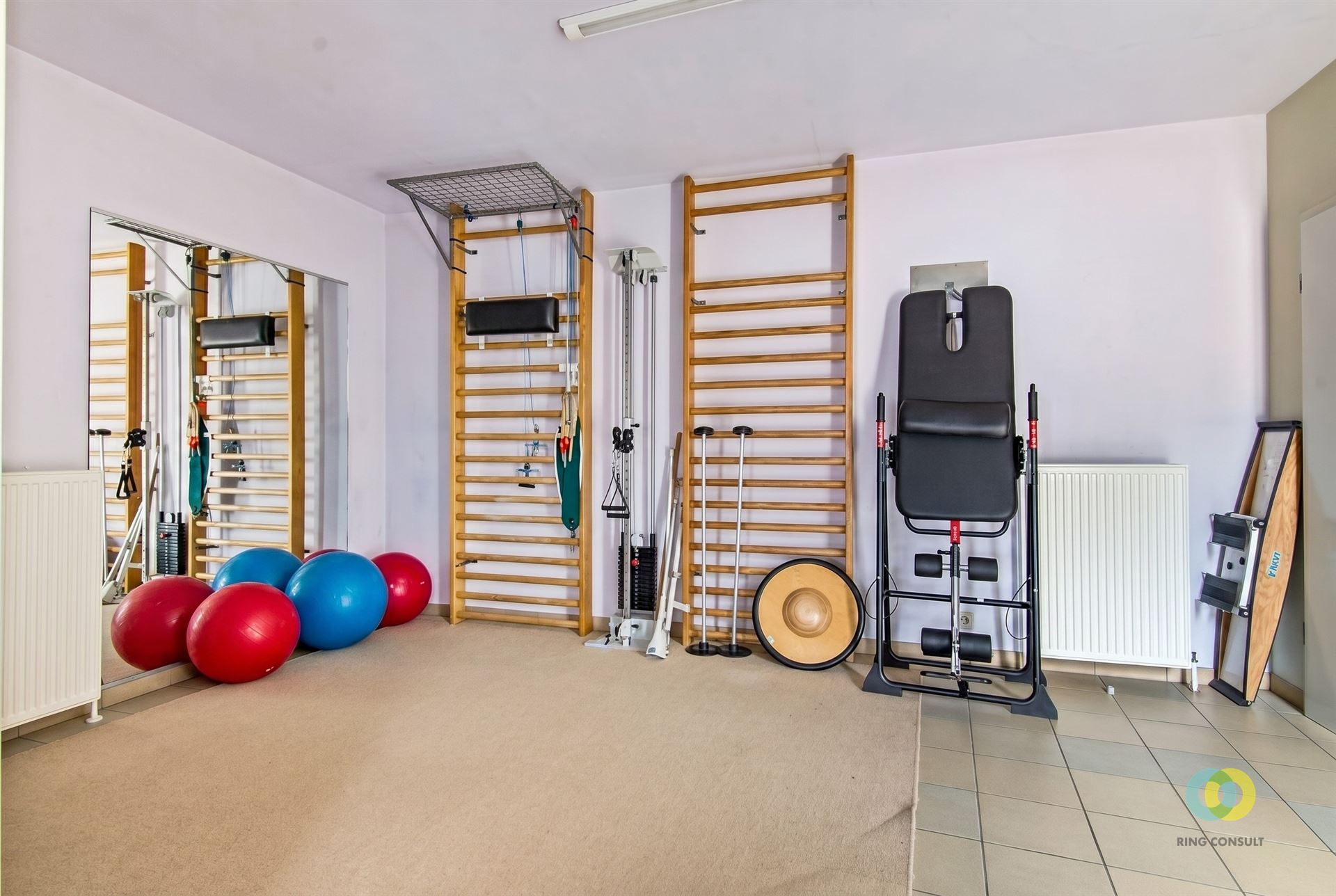 Ruime woning met praktijkruimte, garage en tuin - foto 4