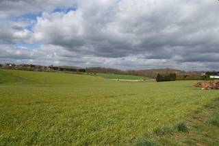 Century 21 ImmoNero stelt voor: Zeer mooie Z-O georiënteerde grond van 649m² voor de bouw van een driegevel woning van 148m² grondoppervlakte...