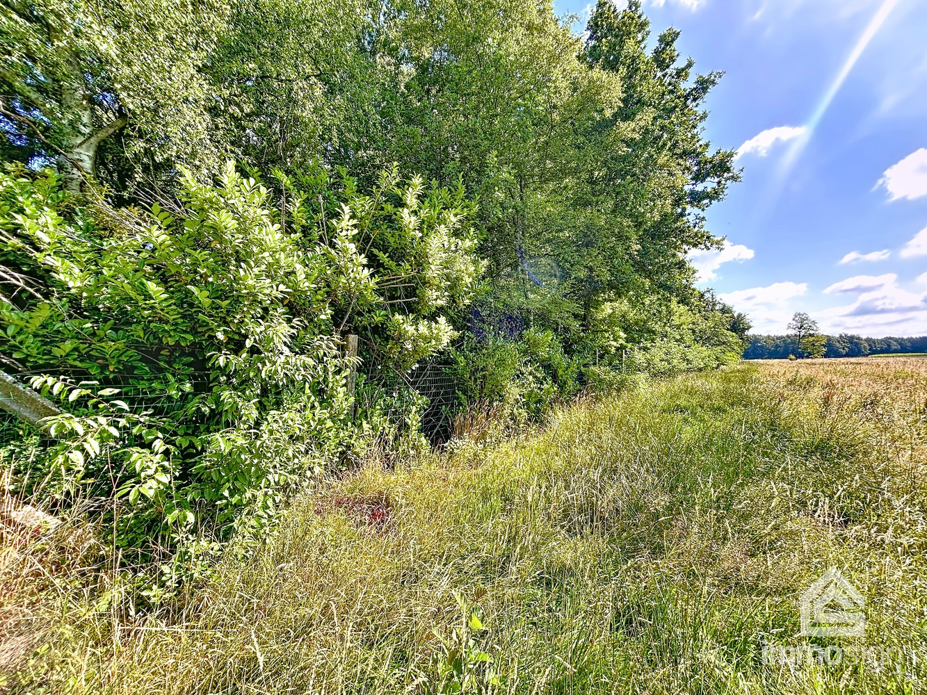 Uniek stuk grond van 9.050 m² in Grote-Brogel/Peer! - foto 4