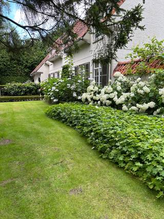 Tijdloze Normandische villa, toplocatie (omgeving wandelpad kasteel), bushalte op enkele passen. <br /><br />5 slpkrs, 2 badkrs,<br /><br />Inpandige dubbele garage, prima onderhouden met volledig omheinde volwassen tuin van 2000m.<br /><br />Een straatbreedte van 51m zonder inkijk dus biedt oneindig veel mogelijkheden voor uitbreiding.<br /><br />Elektrische hardhouten inkom poorten. info 0468/20.03.64<br /><br />0468/20.03.64