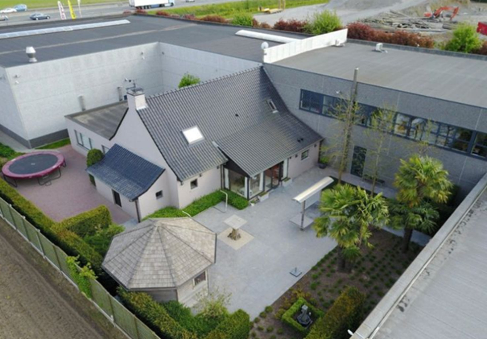 Commercial à louer à Kruisem - photo 5