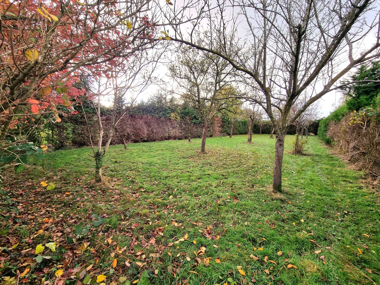 Maison à vendre à Heist-Op-Den-Berg avec 5 chambres - photo 3