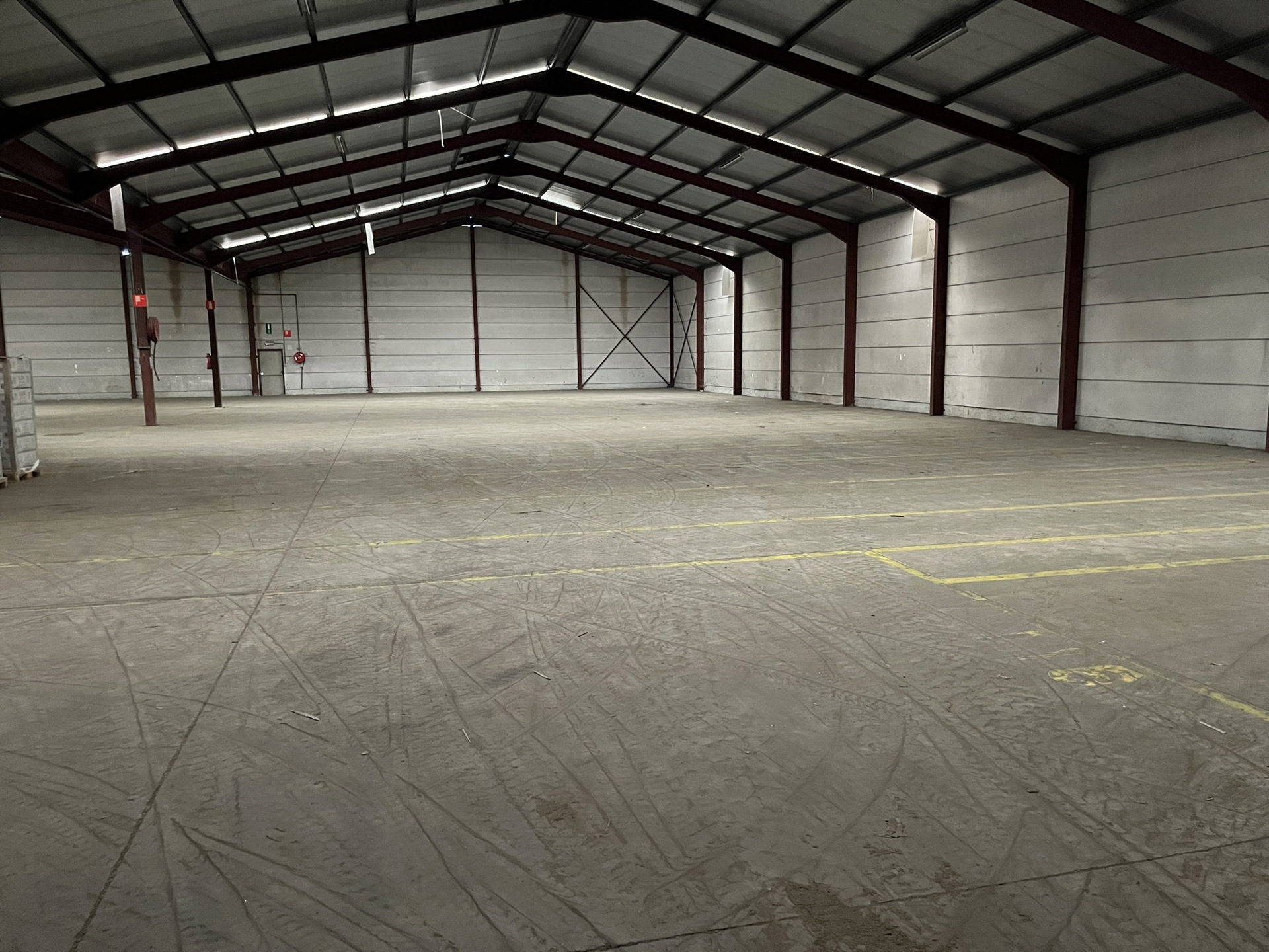 Commercial à louer à Tessenderlo - photo 1