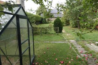 Te renoveren pand met ruime tuin met verschillende soorten fruitbomen. totale oppervlakte 788 vierkante meter