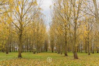 Moderne hoeve met ruimte, licht en rust.In een groene, landelijke omgeving vind je deze prachtig vernieuwde hoeve: een moderne gezinswoning van 346...