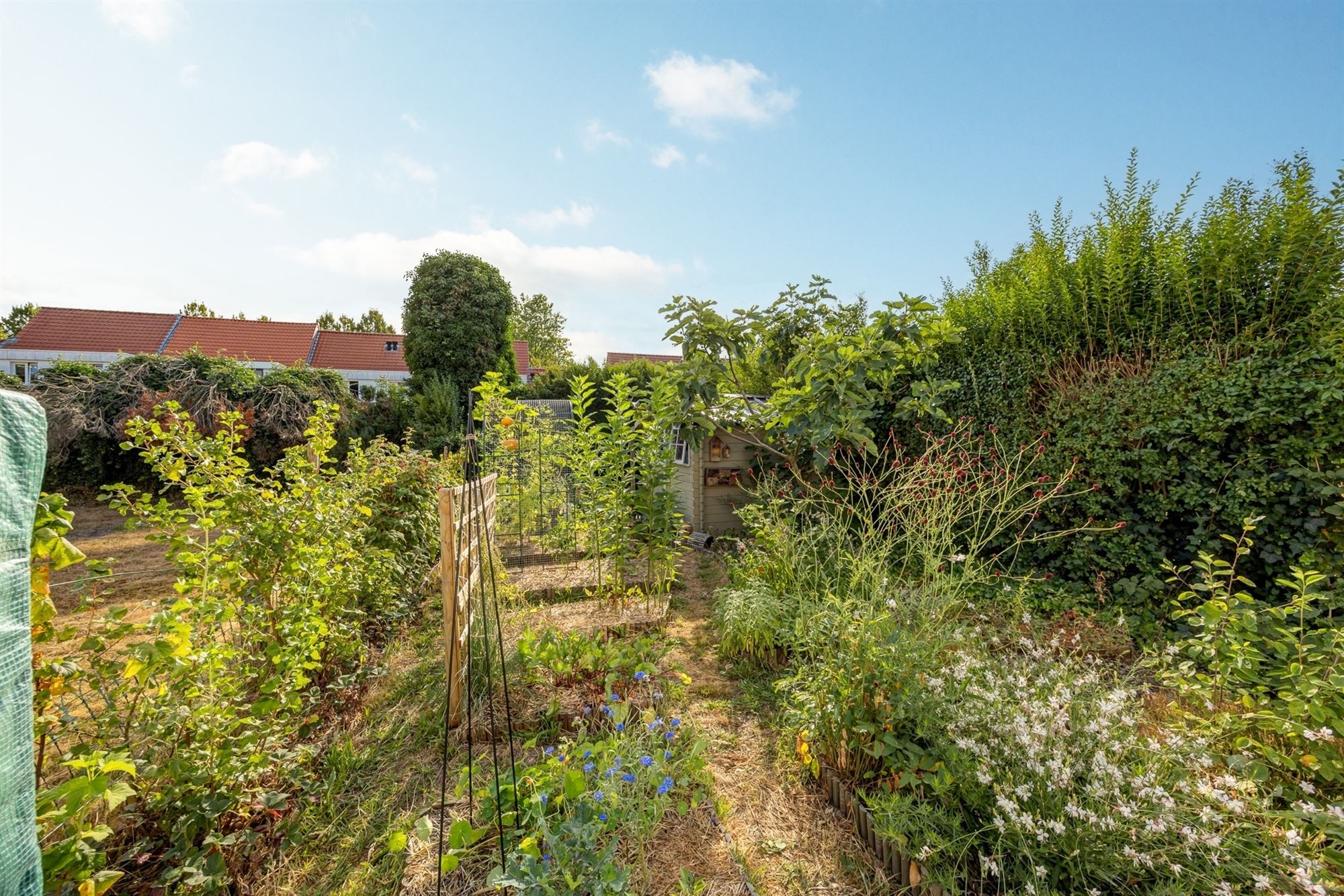 Instapklaar huis met drie slaapkamers en tuin - foto 4