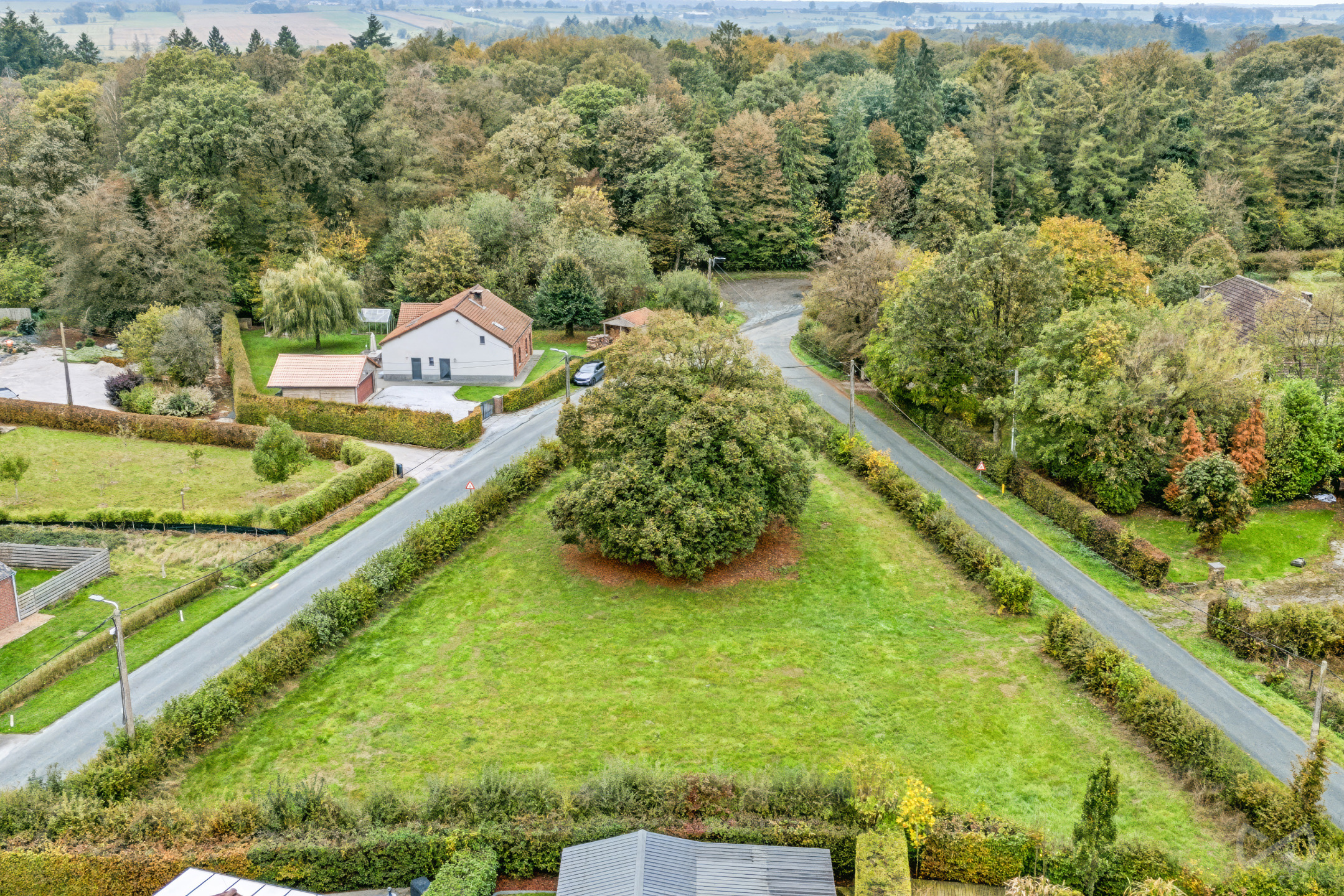 Grond te koop in Seloignes - foto 5