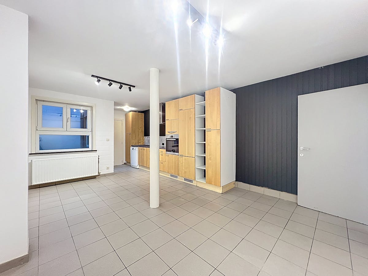 Spacious 4 bedroom house for rent in Ghent - photo 2