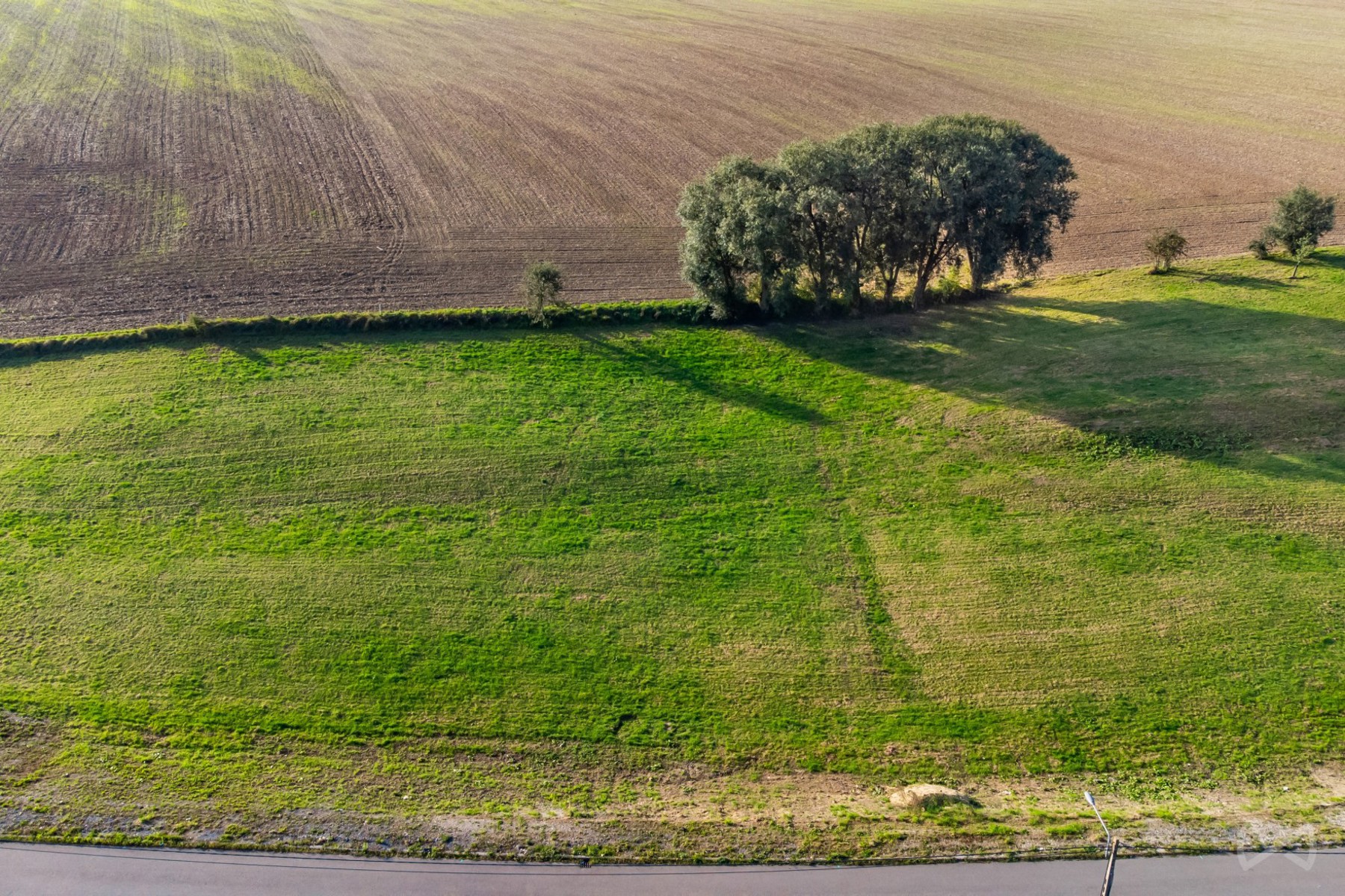Land for sale in Courcelles - photo 5