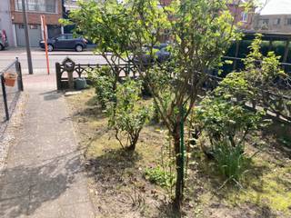 Deze verrassend ruime woning is gelegen in een woonwijk te Turnhout vlakbij supermarkt, school, park, winkels,...Op het gelijkvloers treffen we...