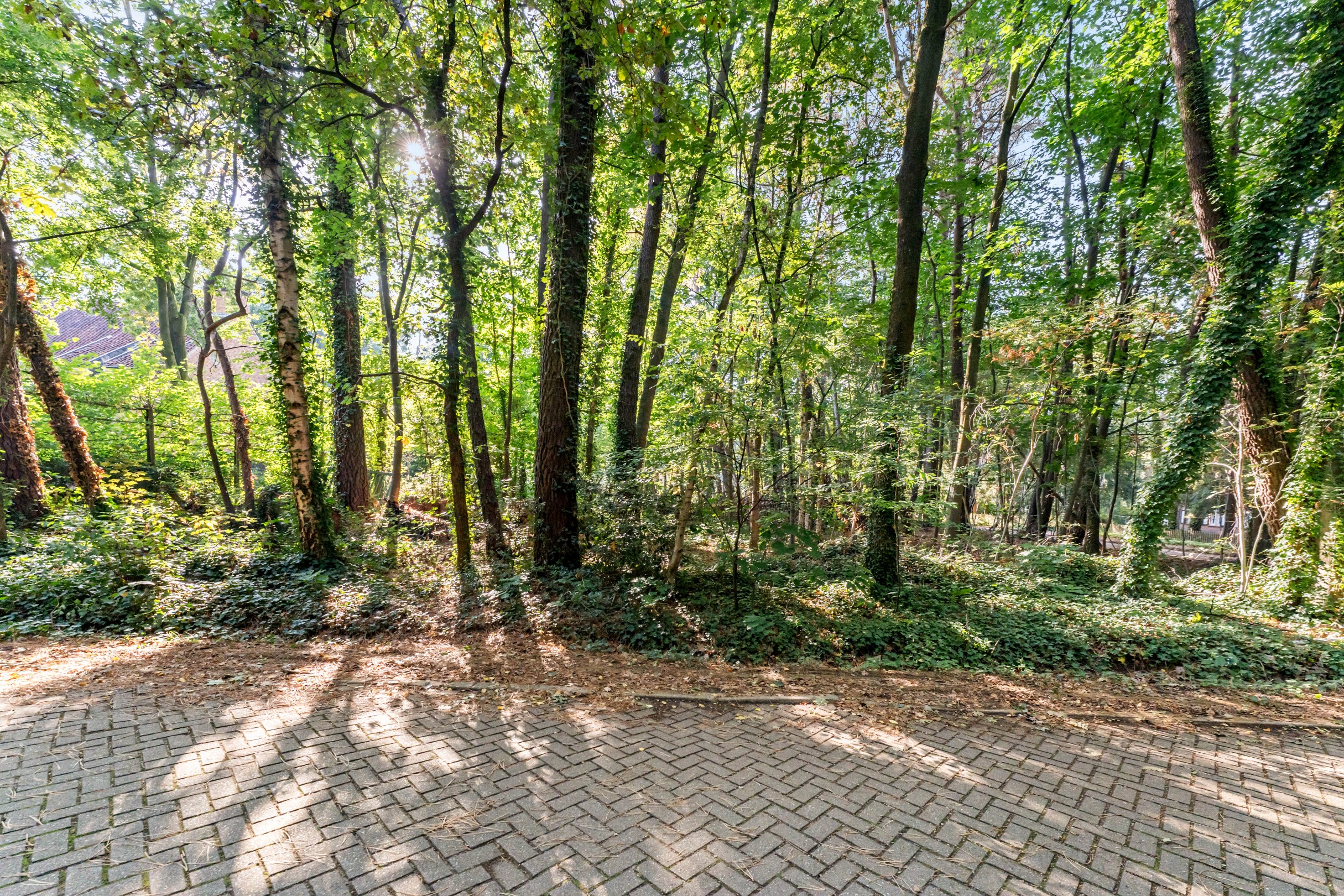 Spacious plot of building land of 1,863 m² for detached construction - photo 3