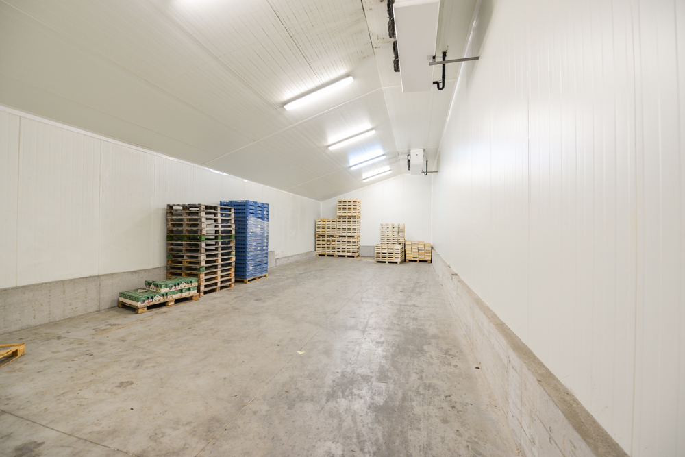 Ruim geïsoleerd magazijn / werkplaats / atelier gelegen te Horebeke - foto 4