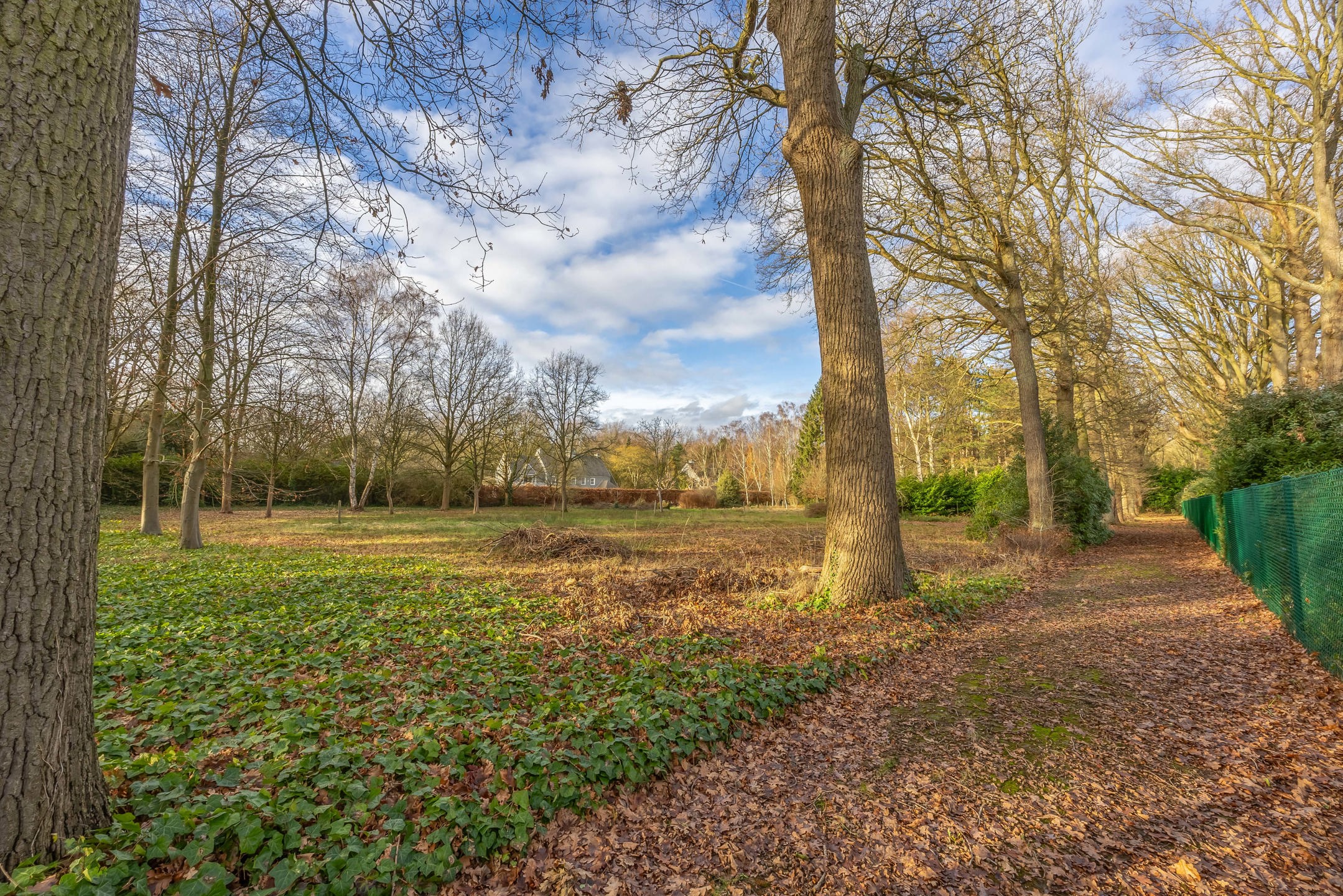 Centraal gelegen villagrond van 3.010 m2  - foto 4