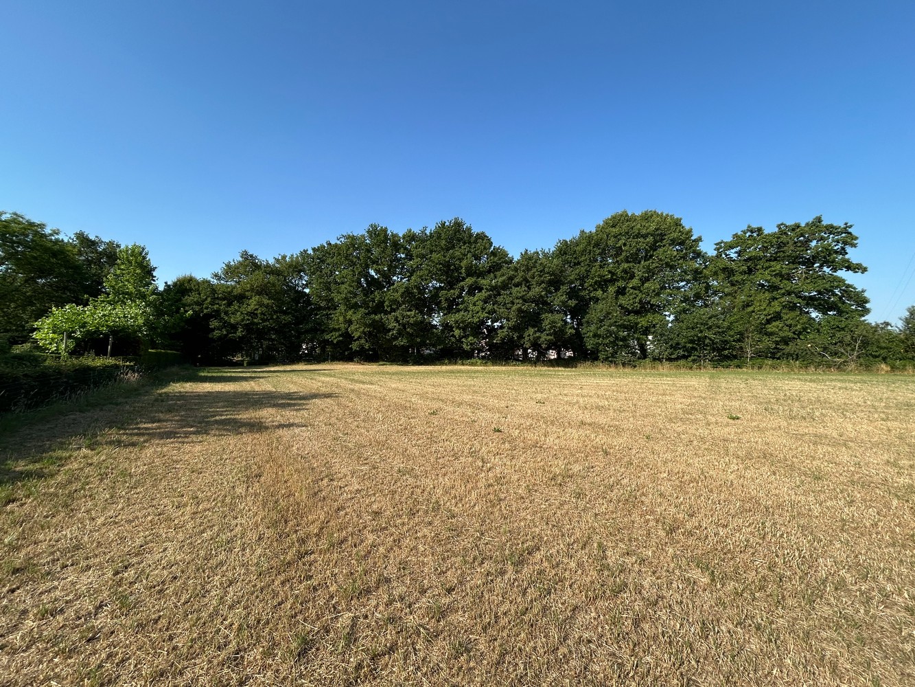 Bouwgrond met achterliggende weide te koop - foto 4