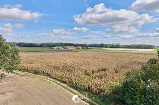 <p>Mooi stuk landbouwgrond gelegen achter de Eindhovensebaan. <br /><br />Dit stuk landbouwgrond van 1,6 ha groot is gelegen net achter de Eindhovensebaan, Het stuk is zeer makkelijk bereikbaar via een servitudeweg tussen Eindhovensebaan nummer 36 en 38. Zoals je kunt zien op de kadastrale intekening is het stuk mooi rechthoekig en momenteel geoogst met mais.</p>